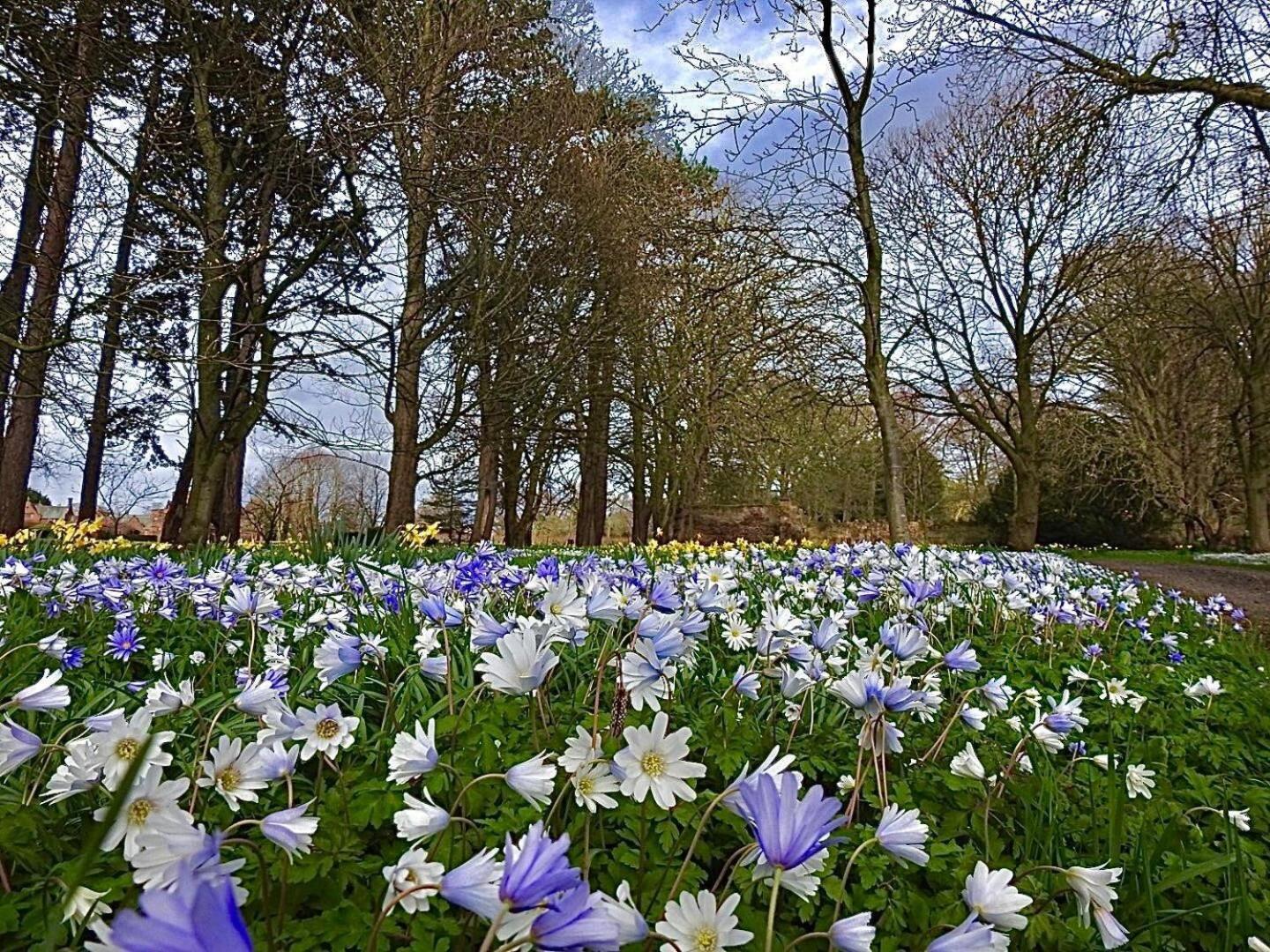 Thornton Manor - Holiday Cottages And Apartments ヘスウォール 部屋 写真