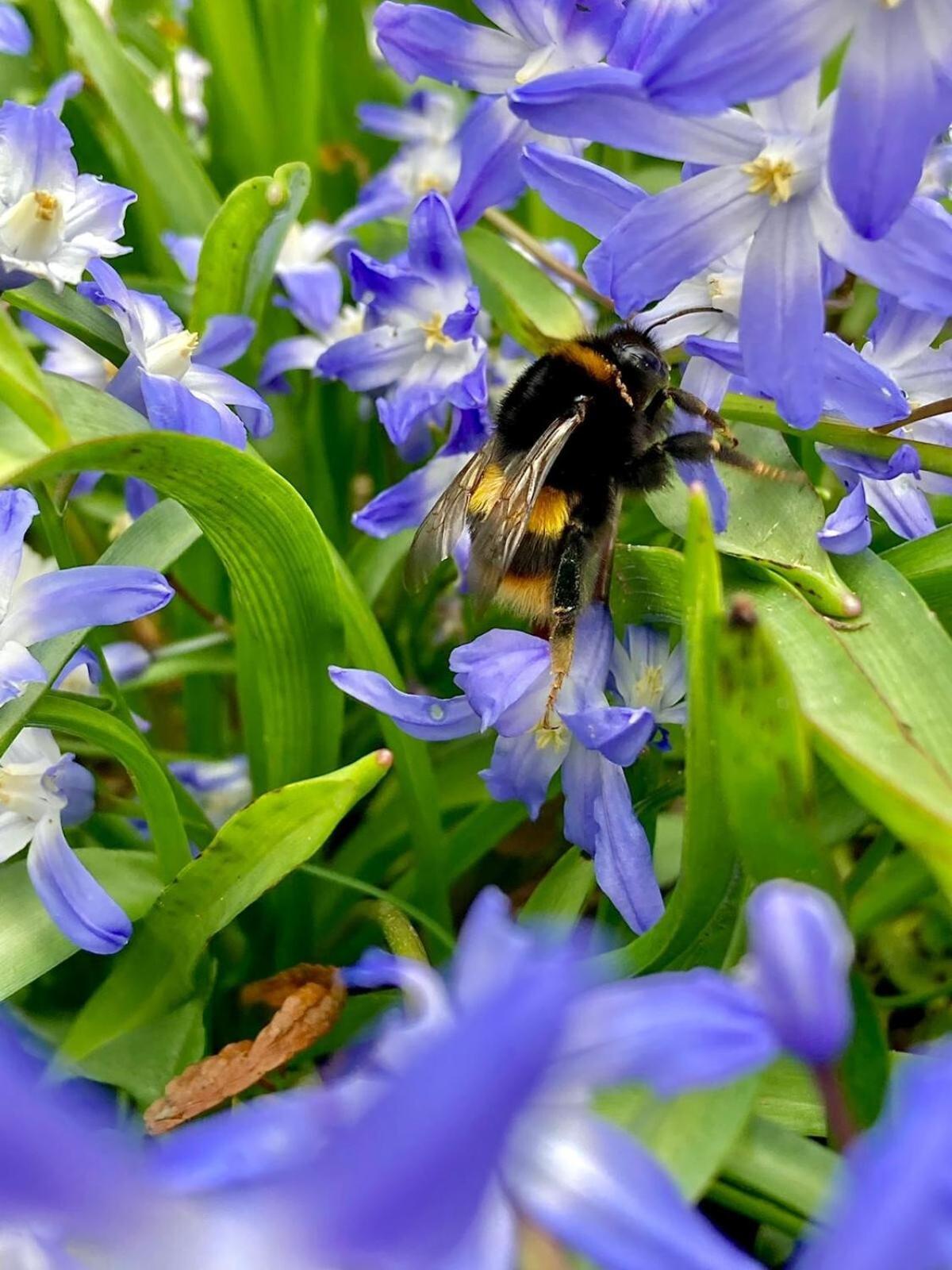 Thornton Manor - Holiday Cottages And Apartments ヘスウォール 部屋 写真